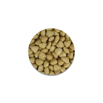 غذای خشک گربه جوسی کت جوسرا با طعم گوشت ۱ کیلو(بسته بندی فله آناویل)